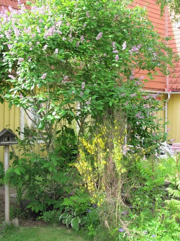 Heimdallhuset Bed & Breakfast Skanes Varsjo Exterior foto